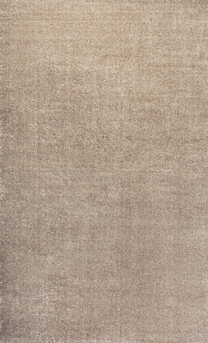 HomeRoots 8' X 10' Beige Area Rug - Versatile, Durable Design for Living Rooms, Bedrooms & Home Offices 685119