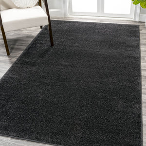 HomeRoots 5' X 8' Black Area Rug - Modern, Durable, and Easy-Care Floor Covering for Stylish Living Spaces 685130