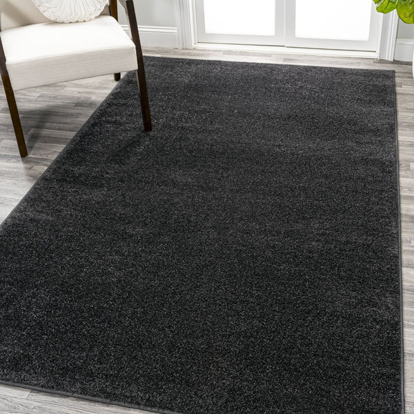 HomeRoots 5' X 8' Black Area Rug - Modern, Durable, and Easy-Care Floor Covering for Stylish Living Spaces 685130