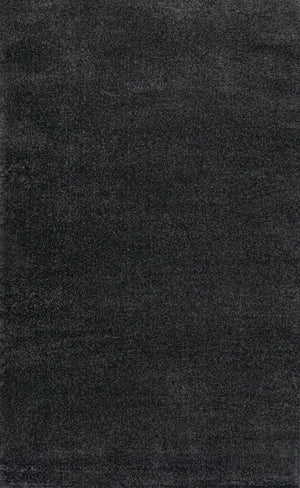 HomeRoots 5' X 8' Black Area Rug - Modern, Durable, and Easy-Care Floor Covering for Stylish Living Spaces 685130