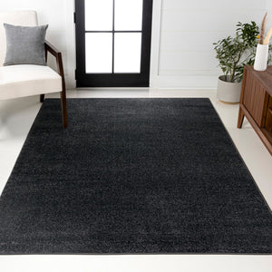 HomeRoots 8' X 10' Black Area Rug - Contemporary Style for Living Spaces, Durable, Low-Maintenance & Versatile! 685131