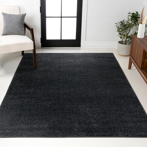 HomeRoots 8' X 10' Black Area Rug - Contemporary Style for Living Spaces, Durable, Low-Maintenance & Versatile! 685131