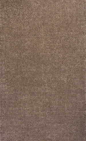 HomeRoots 8' X 10' Brown Area Rug - Modern, Durable, and Stylish Low-Pile Solution for Any High-Traffic Space 685137