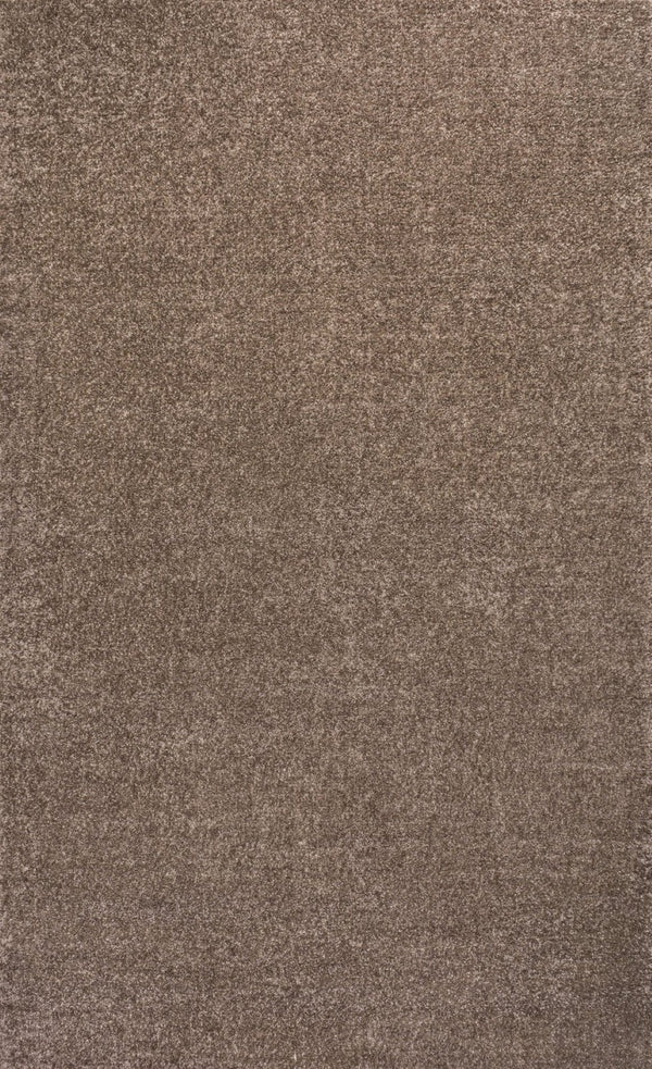 HomeRoots 8' X 10' Brown Area Rug - Modern, Durable, and Stylish Low-Pile Solution for Any High-Traffic Space 685137