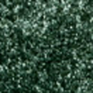 HomeRoots 5' X 8' Emerald Area Rug – Vibrant, Durable Floor Covering for Modern Spaces with Easy Care & Style 685148