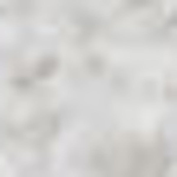 HomeRoots 5' Modern White Flatweave Area Rug - Durable, Easy-Care, Stylish Design for High-Traffic Spaces 685153