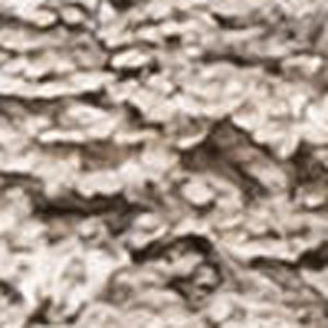 HomeRoots 10' Beige Flatweave Runner Rug - Durable, Low-Maintenance Design for Hallways and Modern Spaces 685160