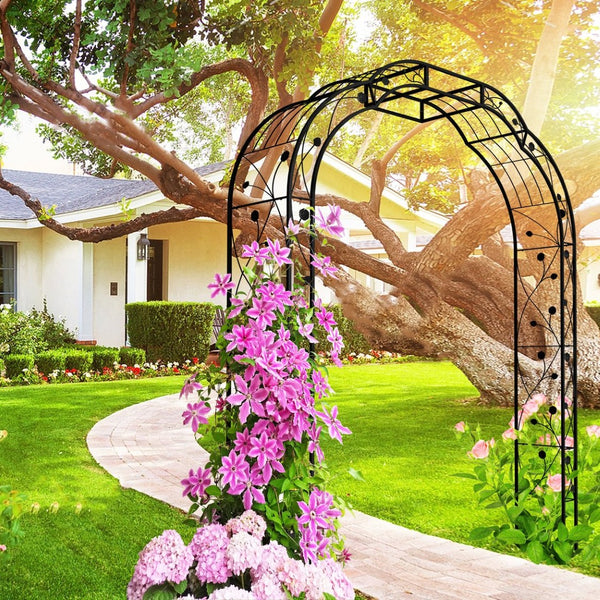 English Elm Metal Garden Arch Powder Coated Steel Trellis for Climbing Roses Outdoor Weddings Black W1586P268772