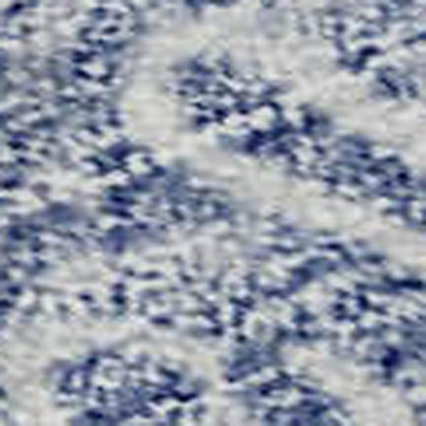HomeRoots 8' X 10' Denim Blue & Beige Floral Washable Area Rug - Durable, Stain-Resistant, UV Protected Design 686022