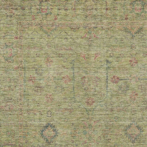 HomeRoots 9' X 12' Washable Floral Area Rug in Artichoke Green, Coral & Gray – UV Protected for Home Durability 686083