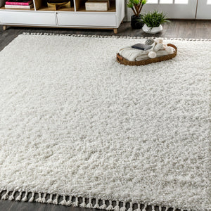 HomeRoots 4' X 6' White Area Rug with Classic Fringe Tassels – Durable, Soft, and Perfect for Any Space! 686608