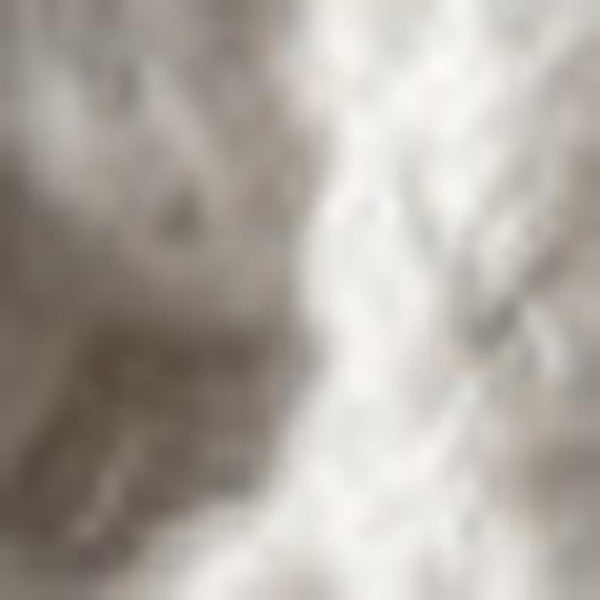 HomeRoots 4' X 6' Charcoal Area Rug with Stylish Fringe - Durable, Soft, and Versatile for Any Home Décor 686613