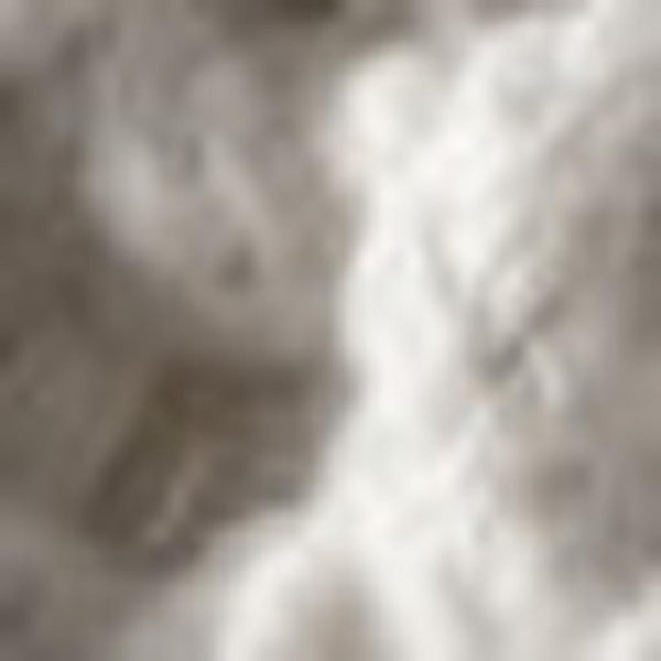 HomeRoots 4' X 6' Charcoal Area Rug with Stylish Fringe - Durable, Soft, and Versatile for Any Home Décor 686613