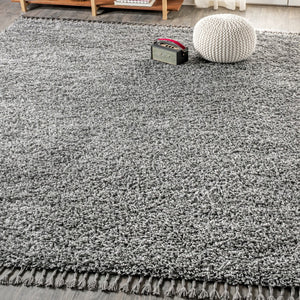 HomeRoots 4' X 6' Charcoal Area Rug with Stylish Fringe - Durable, Soft, and Versatile for Any Home Décor 686613