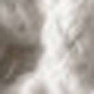 HomeRoots 5' X 8' Charcoal Area Rug with Cozy Fringed Edges - Soft, Durable, and Stylish for Any Room 686614