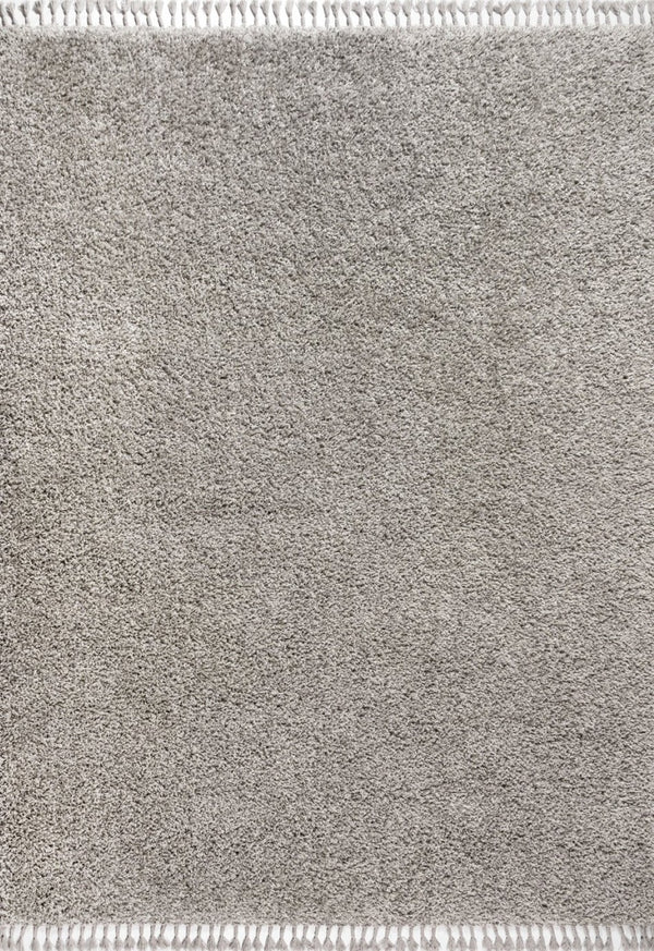 HomeRoots 5' X 8' Gray Area Rug with Fringed Tassels - Soft, Durable, Modern Design for Living Spaces & More 686629