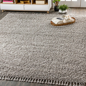 HomeRoots 8' X 10' Gray Area Rug with Fringed Edges - Stylish, Durable, and Versatile for Any Home Décor! 686630