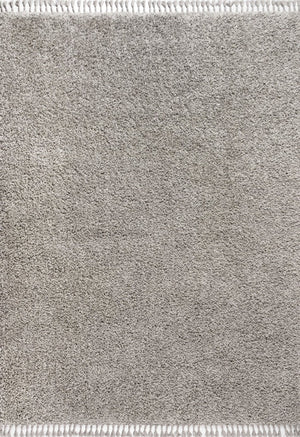 HomeRoots 8' X 10' Gray Area Rug with Fringed Edges - Stylish, Durable, and Versatile for Any Home Décor! 686630