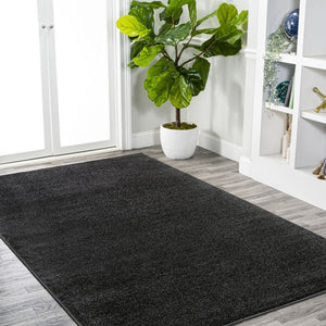 HomeRoots 9' X 12' Black Area Rug - Contemporary Style, Durable, Low-Maintenance for Living Rooms & Bedrooms 686644
