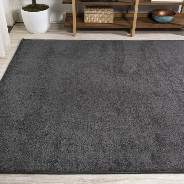 HomeRoots 9' X 12' Black Area Rug - Contemporary Style, Durable, Low-Maintenance for Living Rooms & Bedrooms 686644