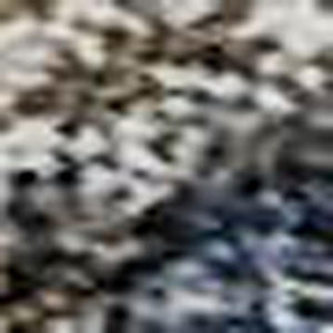 HomeRoots 10' X 14' Blue Gray Floral Medallion Area Rug - Washable, UV Protected, Stain Resistant, Pet Safe 686729