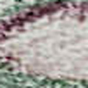 HomeRoots 5' X 8' Sage Beige & Blue Floral Area Rug - Washable, UV-Protected, Perfect for Kids & Pets! 686977