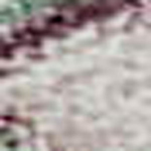 HomeRoots 8' X 10' Sage Beige & Blue Floral Washable Area Rug – Stain Resistant, UV Protected for Family Homes 686979