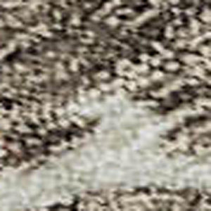 HomeRoots 10' X 14' Durable Brown Beige Blue Floral Area Rug - Washable, UV Protected, Perfect for Busy Homes 687041
