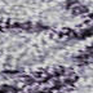 HomeRoots 10' X 14' Elegant Lavender Gray and Gold Floral Area Rug - Washable, UV Protected, Durable Design 687065