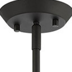 HomeRoots Black Four-Light Dimmable Chandelier with Unique Shades for Modern & Transitional Home Décor 687171