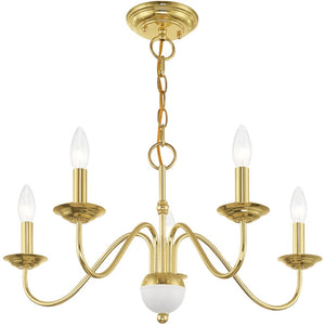 HomeRoots Five-Light Dimmable Chandelier - Modern Steel Shades for Stylish Ambiance in Dining & Living Spaces 687761
