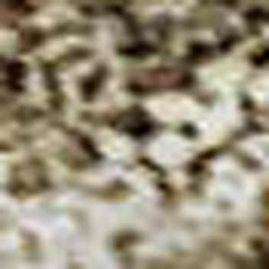 HomeRoots 10' X 14' Wheat and Beige Geometric Area Rug - Washable, UV-Protected, Family-Friendly Design 688027