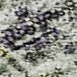 HomeRoots 9' X 12' Tribal-Inspired Sage Silver & Purple Washable Area Rug with UV Protection & Durability 688551