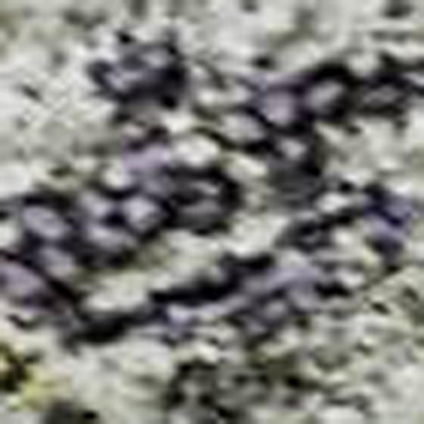 HomeRoots 10' X 14' Tribal Area Rug in Sage, Silver & Purple - Washable, UV-Protected, Kid & Pet Friendly! 688552