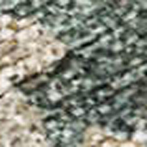 HomeRoots 8' X 10' Washable Floral Area Rug in Artichoke Green, Beige & Rust - Perfect for Indoor/Outdoor Use! 688582