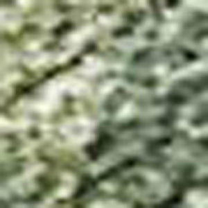 HomeRoots 5' X 8' Fern Green Abstract Area Rug – Stylish, Washable & Durable for Indoor/Outdoor Use! 689162