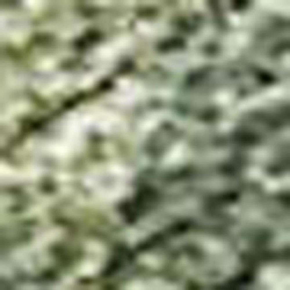 HomeRoots 8' X 10' Stylish Fern Green & Ivory Abstract Washable Area Rug for Indoor & Outdoor Spaces 689164