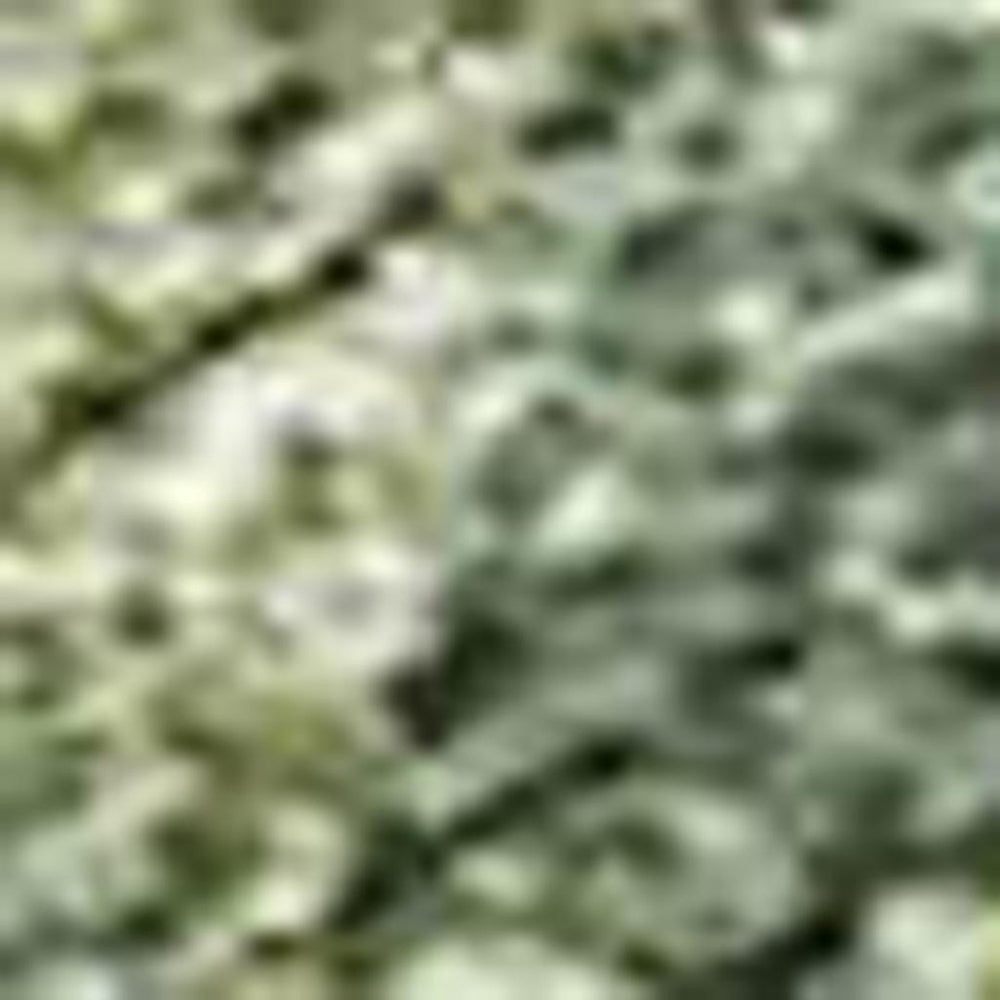 HomeRoots 9' X 12' Fern Green Abstract Area Rug – Durable Washable Design for Indoor & Outdoor Spaces, Easy Care! 689165