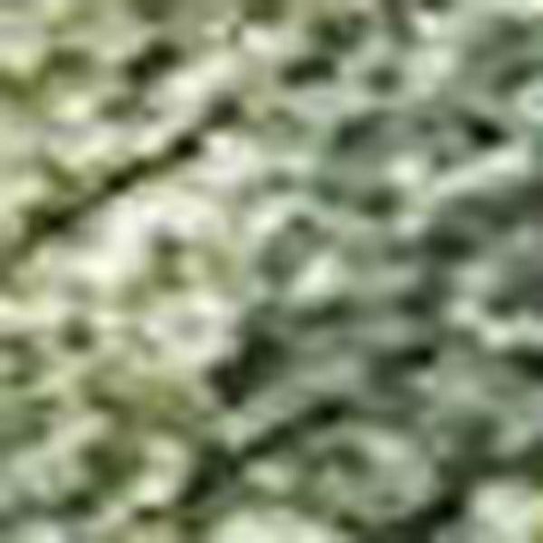 HomeRoots 9' X 12' Fern Green Abstract Area Rug – Durable Washable Design for Indoor & Outdoor Spaces, Easy Care! 689165