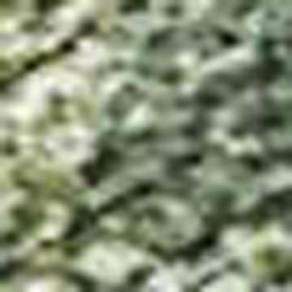HomeRoots 10' Abstract Fern Green & Ivory Washable Area Rug for Indoor & Outdoor Spaces - Durable & Stylish 689166