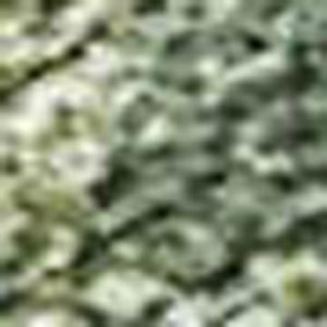 HomeRoots 10' Abstract Fern Green & Ivory Washable Area Rug for Indoor & Outdoor Spaces - Durable & Stylish 689166