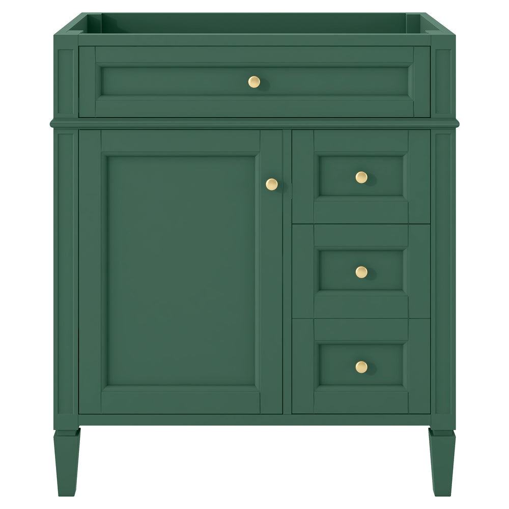 English Elm 30'' Modern Bathroom Vanity Cabinet With 2 Drawers, Tip-Out Storage & Adjustable Shelf – No Basin N710P250685F