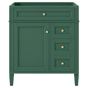 English Elm 30'' Modern Bathroom Vanity Cabinet With 2 Drawers, Tip-Out Storage & Adjustable Shelf – No Basin N710P250685F