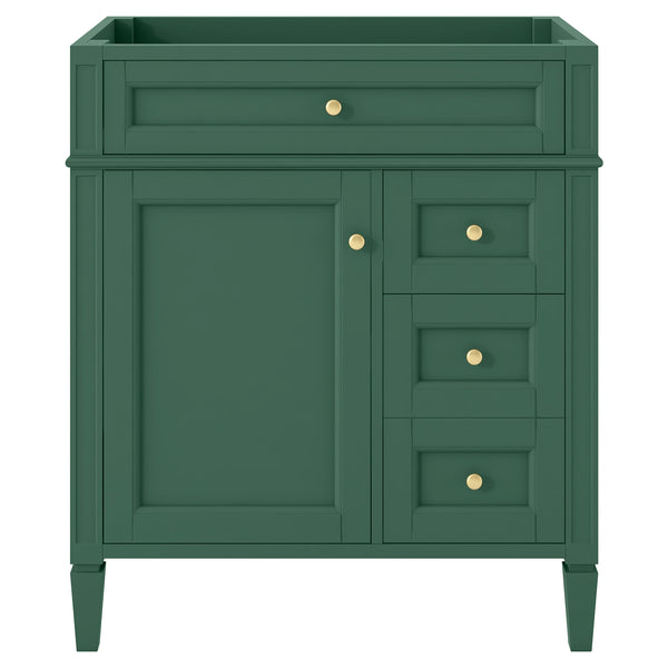 English Elm 30'' Modern Bathroom Vanity Cabinet With 2 Drawers, Tip-Out Storage & Adjustable Shelf – No Basin N710P250685F
