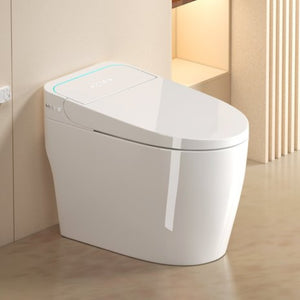 English Elm Unique Smart One Piece Toilet Bidet Combo with Auto Lid Warm Air Dryer Heated Seat W3133P476384