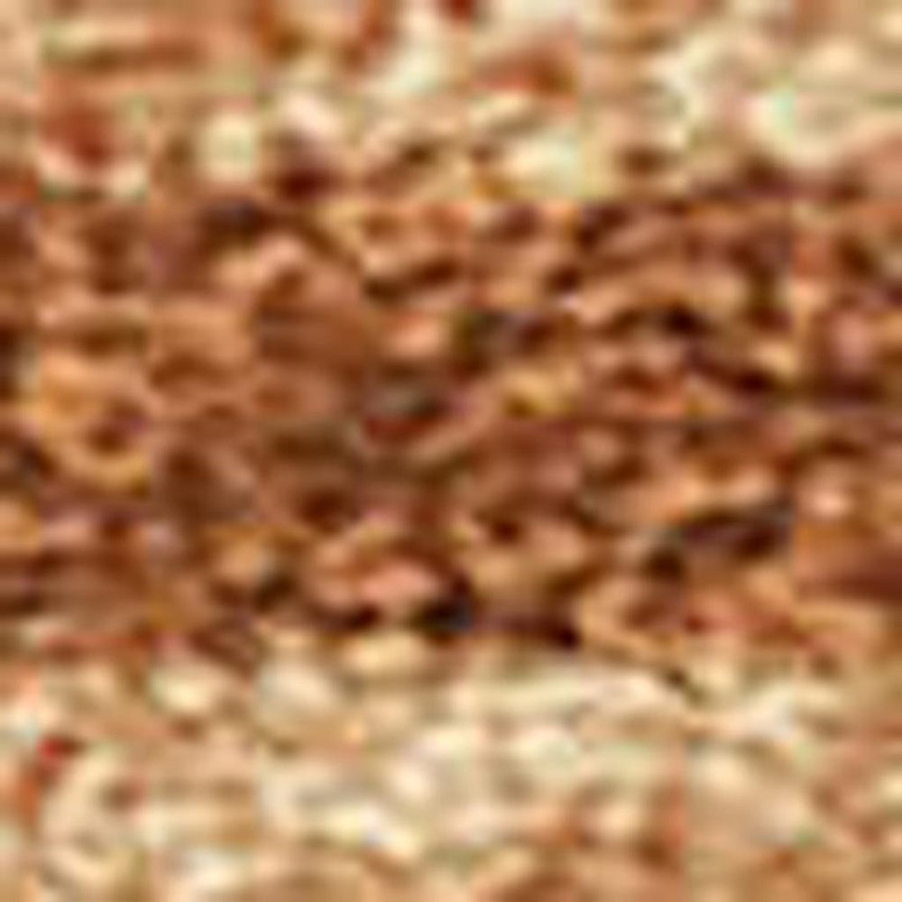 HomeRoots 10' Copper Beige & Chocolate Botanical Leaves Area Rug - Washable, Indoor/Outdoor, Durable Elegance 690931