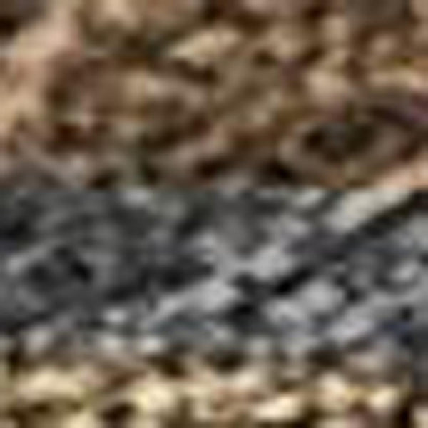 HomeRoots 5' Washable Indoor Outdoor Area Rug in Chocolate Gray & Beige with Seashell Design – Durable & Easy-Care 691525