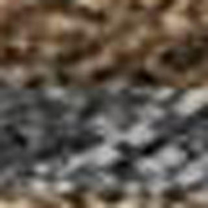 HomeRoots 9' X 12' Washable Seashell Area Rug in Chocolate Gray & Beige – Perfect for Indoor & Outdoor Use! 691528