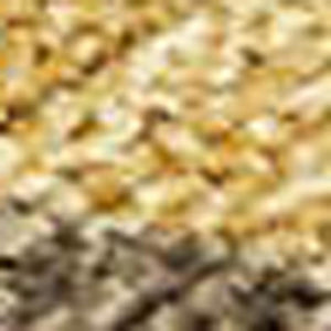 HomeRoots 5' X 8' Gold & Brown Seashell Area Rug - Stylish, Washable, Stain-Resistant for Indoor & Outdoor Use 691531