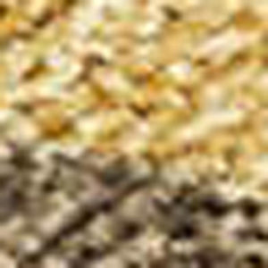HomeRoots 10' Gold and Brown Seashell Area Rug - Washable, Durable for Indoor/Outdoor Living Spaces, Stain-Resistant 691535